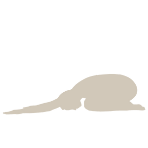 Reset Icon